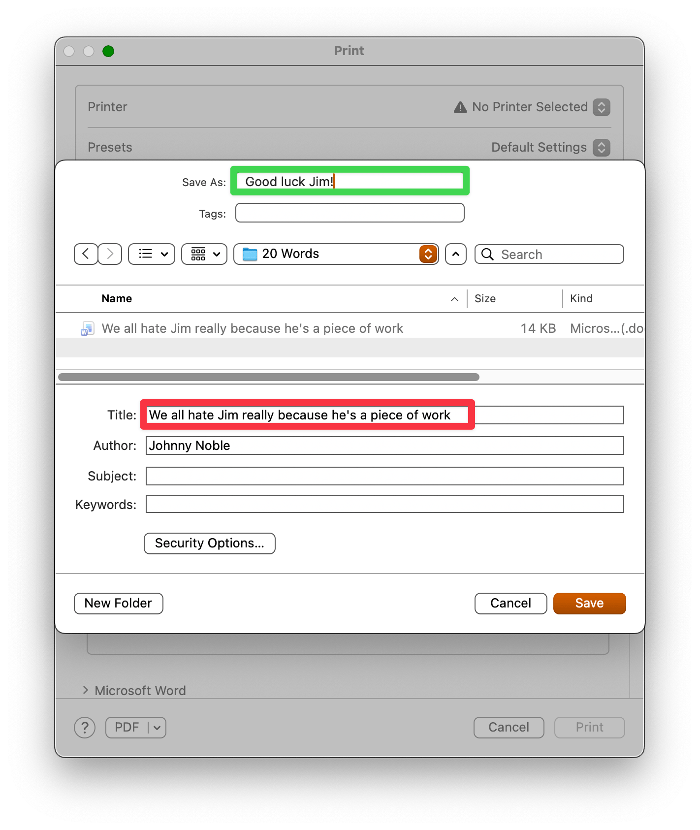 Screenshot of us saving as PDF. We've renamed the PDF as it will be saved on disk, but forgotten about its 'title'.