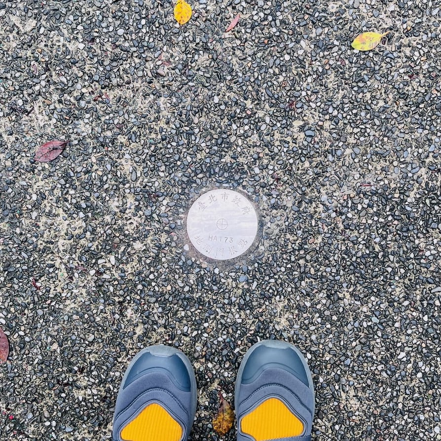 Survey mark HA173.