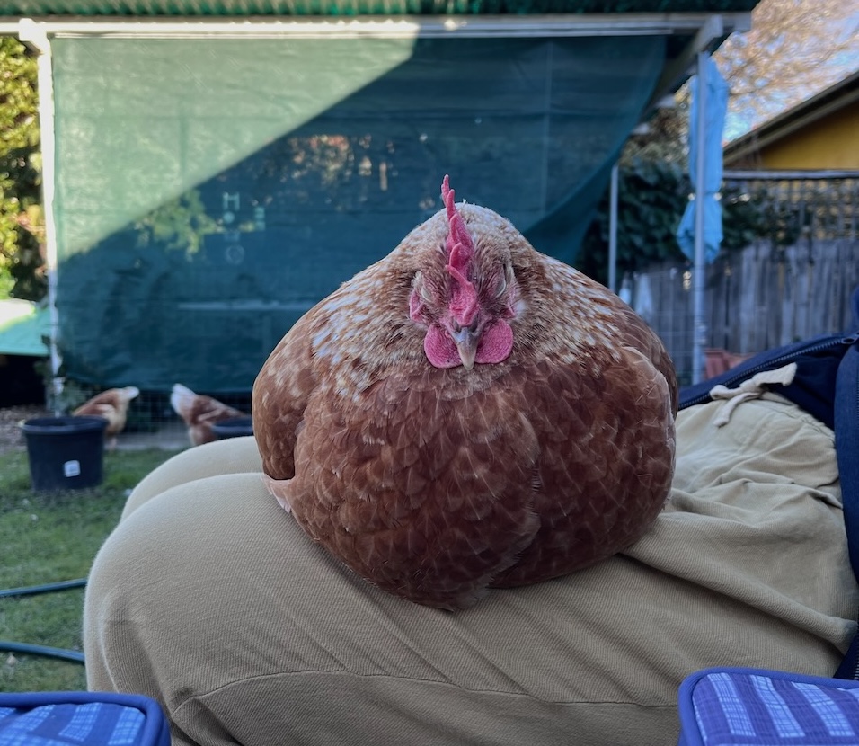 A photograph of Wendy sitting on Johnny's leg.