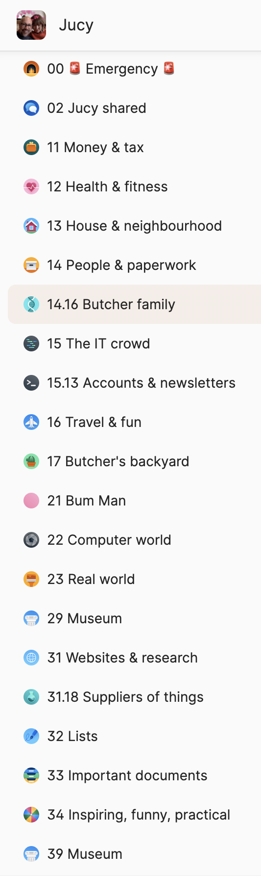 A screenshot of the categories in Lucy's 1Password sidebar. She's got about 20; they mirror her JD system.